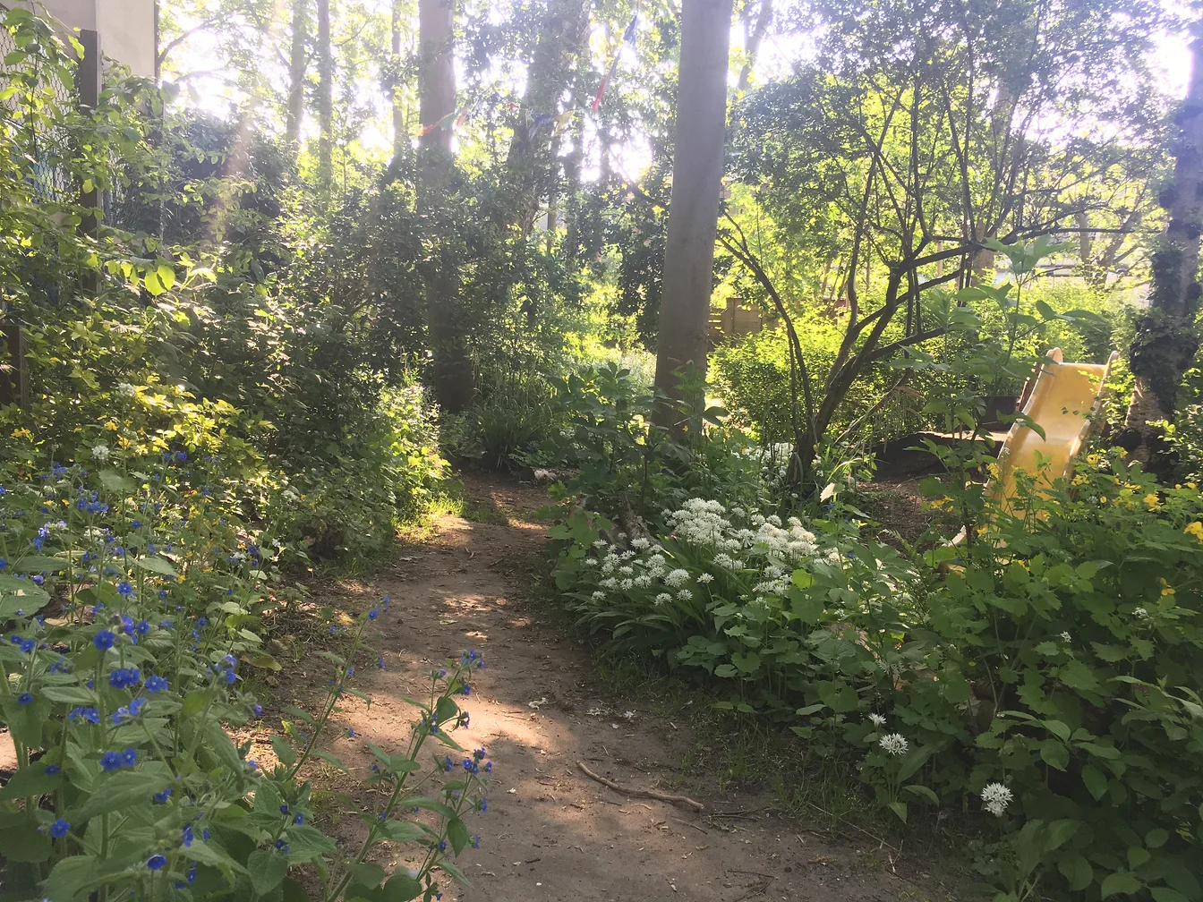 tuin-1.webp