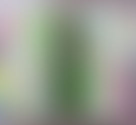 la agenda de los libros