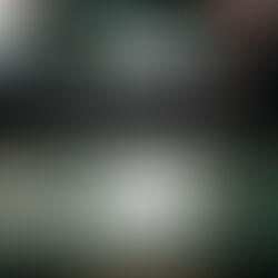 respuesta a "También la lluvia"