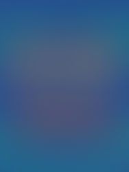 respuesta a "Half of a Yellow Sun"