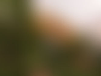 mientras en Amazonas - reflexiones tres "Plegarias Nocturnas"