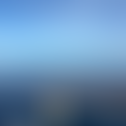 los dos viajes en los que estuve