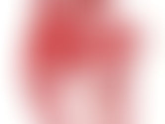 ¿ cómo describiría mi casa ?