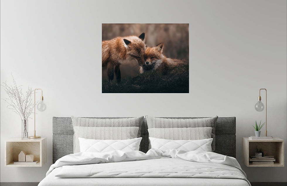Miniaturbild: Cuddle Time