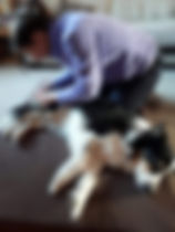 IMG-20190205-WA0001.jpg