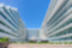 Distinctive Architecture