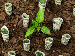 Visa Europe Assembled Sustainability Solutions Team