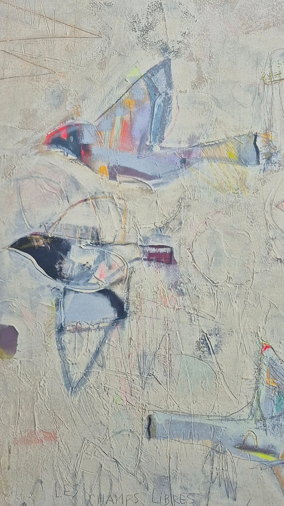 Thumbnail: Les champs Libres - N.1