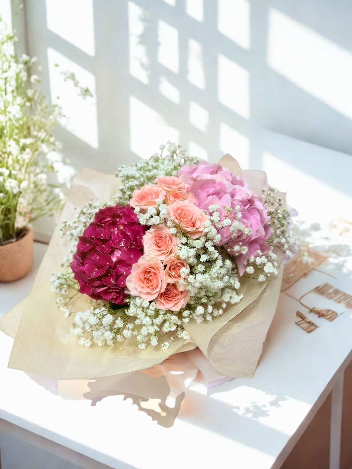 Hydrangea Royale