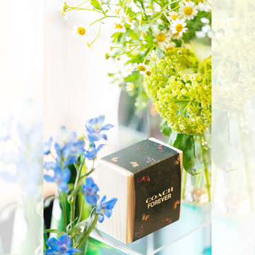 SEED BOX