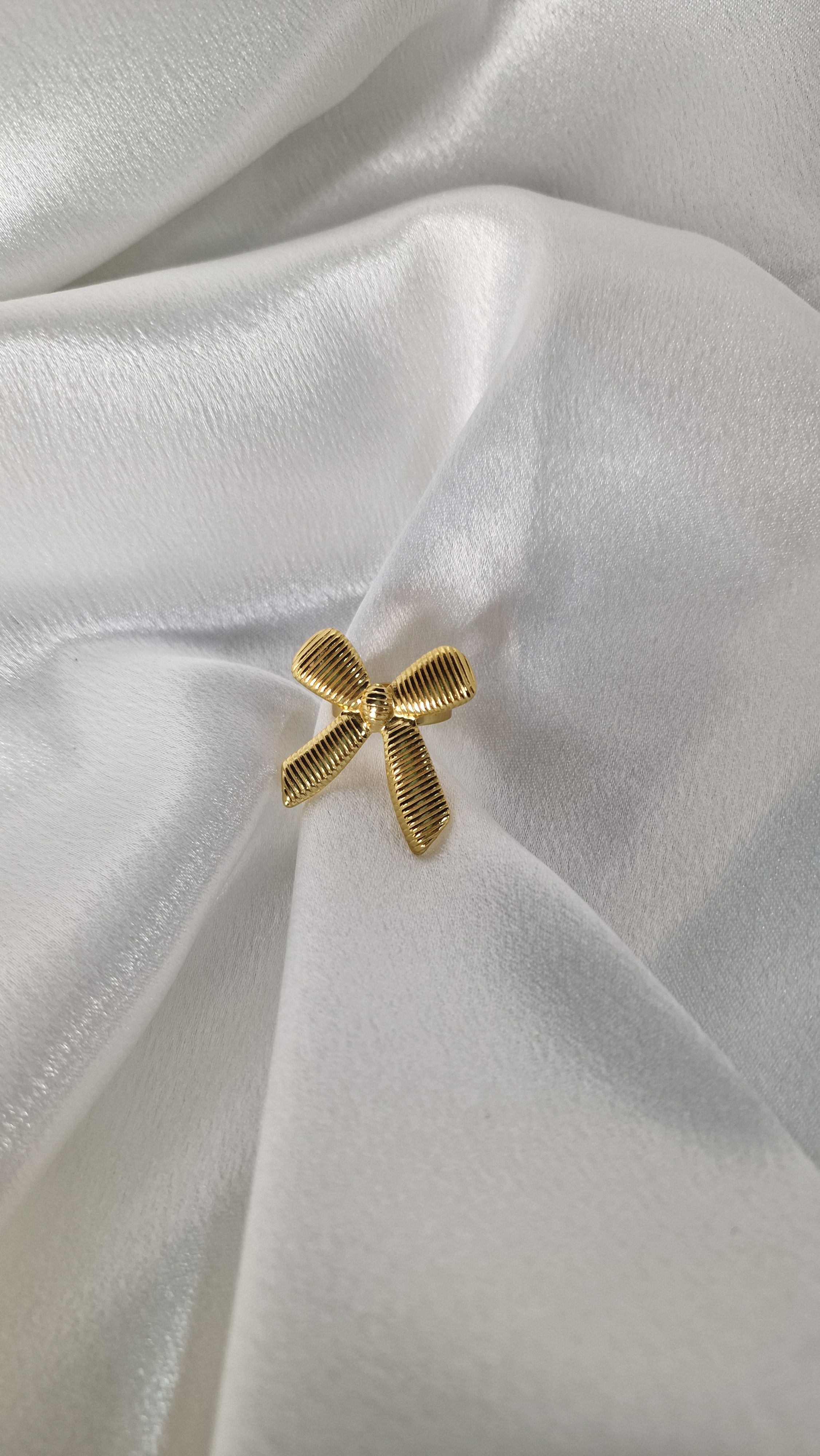 Anillo lazo