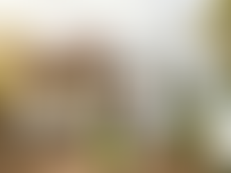 10 Dos and Don'ts for first-time home renovations in Australia