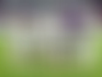 AFCON 2025: Super Eagles of Nigeria suffer injury blow ahead of squad announcement