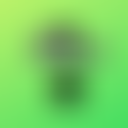 Spotify makes major move with surprise WhoSampled acquisition