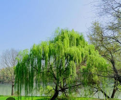 WhatsApp Image 2020-08-04 at 7.04.41 PM.