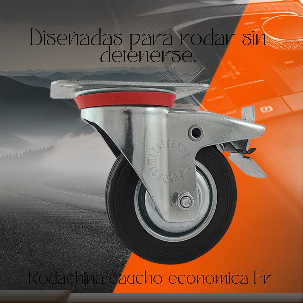 Rodachin 3"4"5" y 6" placa freno