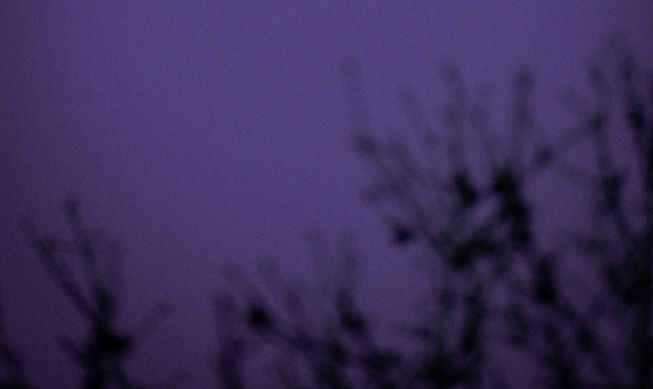 DSC_0465_edited.jpg