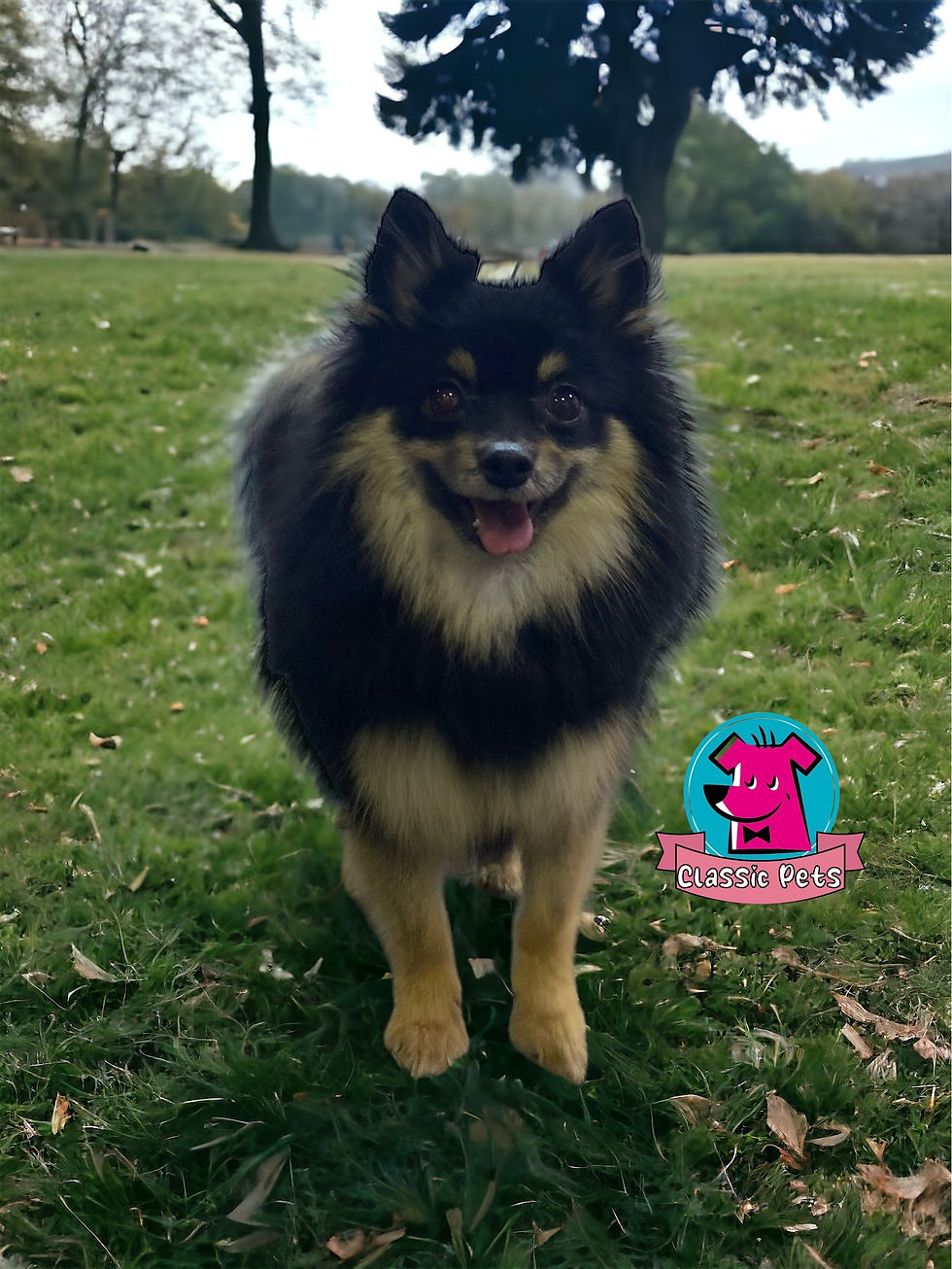 PhotoRoom_20240104_203940