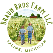 Braun Bros Farm LLC Logo Final1.png
