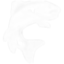 afh-trout-graphic.png
