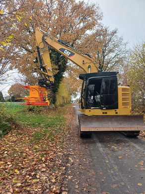 Bagger mit Schneidkopf beim Einsatz in der Forstwirtschaft zur effizienten Baumfällung und Holzverarbeitung.
