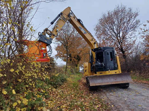 Bagger mit Schneidkopf beim Einsatz in der Forstwirtschaft zur effizienten Baumfällung und Holzverarbeitung.