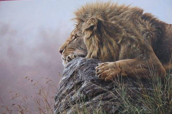lazy day liononrock