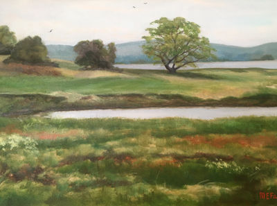 Plum Island, circa 2009