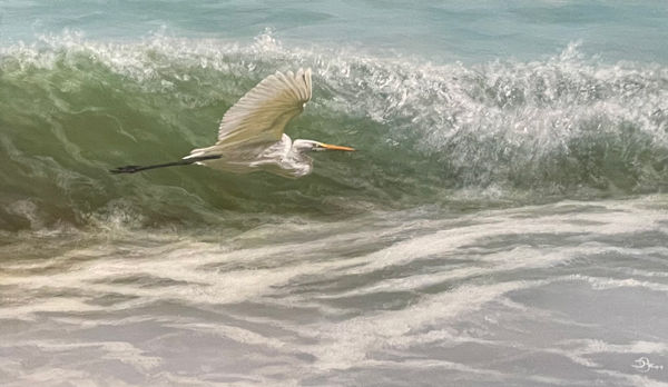 Wind Surfer