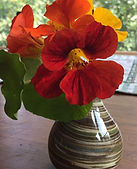 nasturtiums-vase_small.jpg