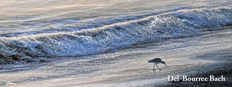 Del-Bourree Bach, Gallery Antonia, Chatham, MA