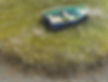 Grassy Nap