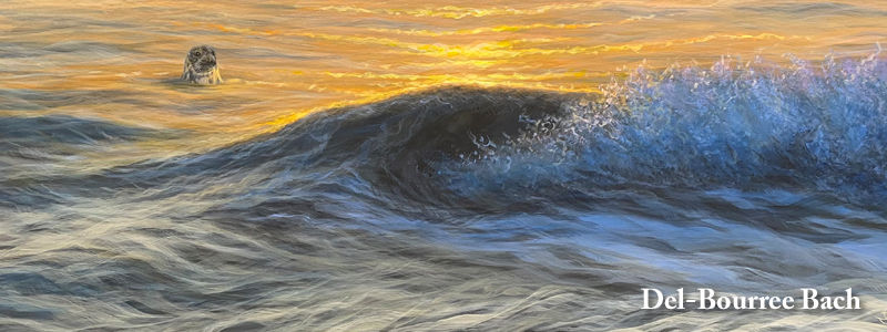 Del-Bourree Bach, Gallery Antonia, Chatham, MA