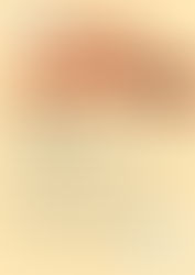 Taalles Bellefort vanuit Taalkracht