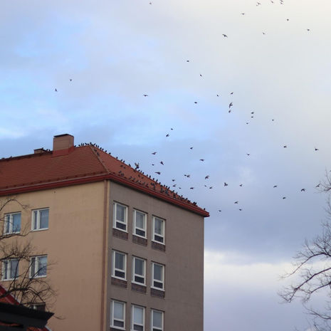 Join me on a meditation Wednesday