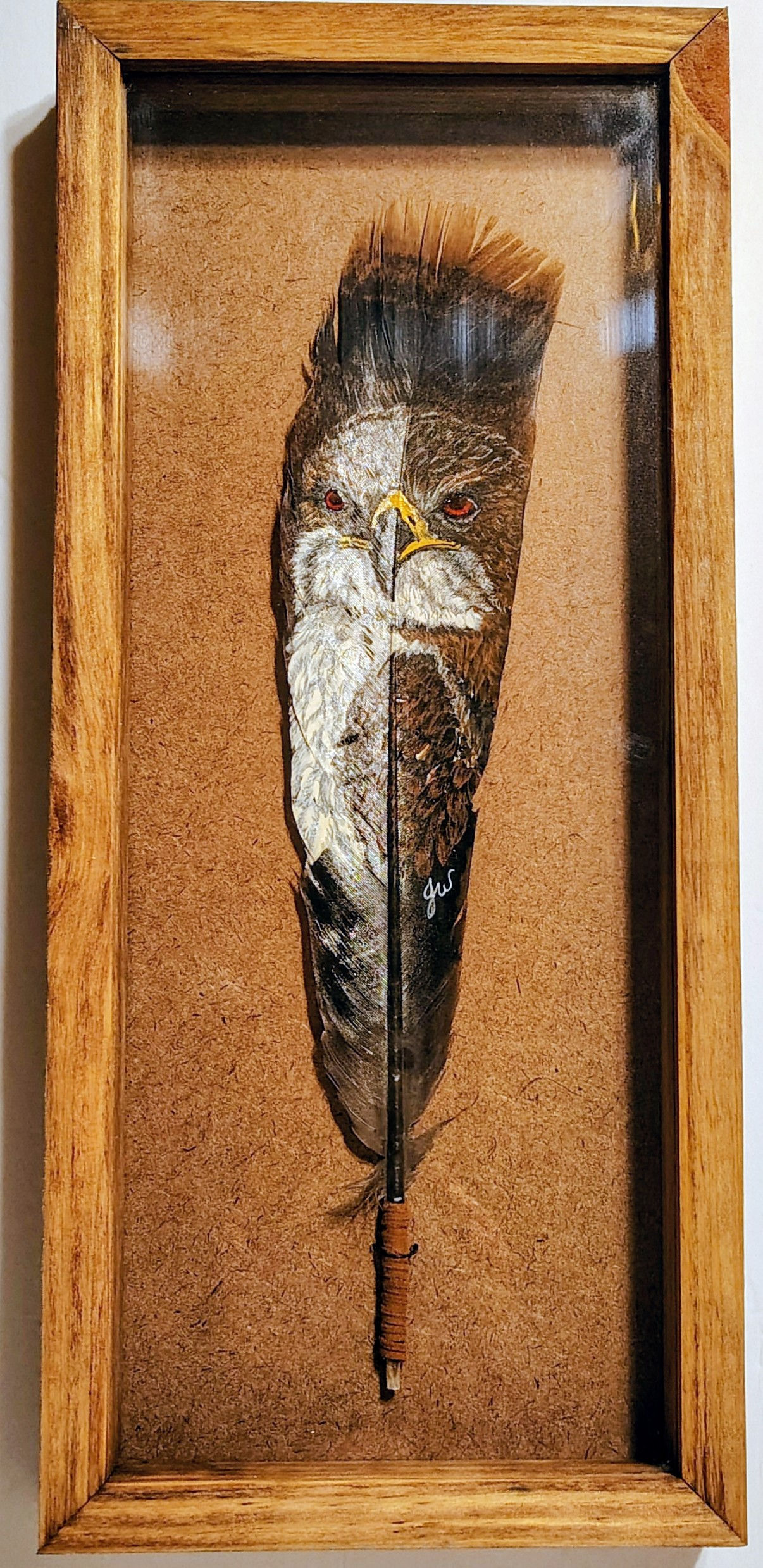 Hand-Painted Feather Set- "Hawk"