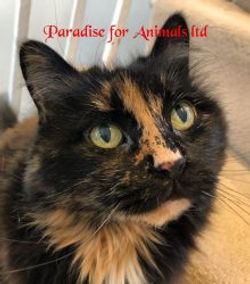 C41946B2-5814-4079-98FB-9E3E757B41A0-220x250