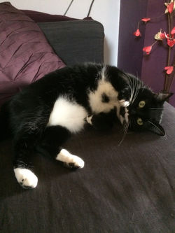 158037B0-B688-478B-93E9-3B8E095CABC7-768x576