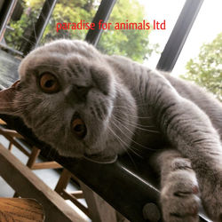 C850AF28-D369-46A3-8E04-4DD1FAEA92DF-768x768