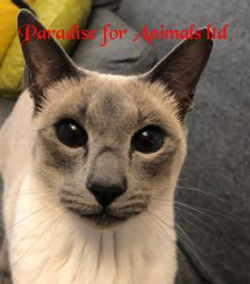 BDEA5D61-8749-4289-AE0F-480376EAC02F-220x250