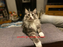 CC951A4B-4CEE-47BD-A8BE-BC59E32E91D2-2048x1536