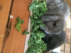 8A2A0D1F-9F75-456C-A92F-6D5072D68E7F-e1493921513860-768x1024