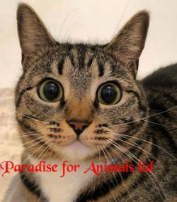 66D7E7DA-BA71-45D6-85DE-4F37AF05DE27-220x250