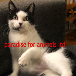 2558BB91-1F2F-464A-B273-0866B6B87ADE