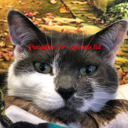 1986087F-2367-4612-B091-9C2664BA0FA2-768x768