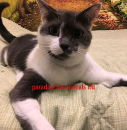 182D074F-FC94-4C2F-83C2-75DC0CE2FB4D-768x790