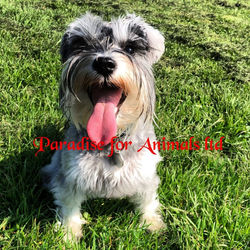 760E769D-1C48-4BFF-A173-C930521CFB7E-768x768