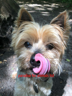 6AC8E35D-4C6C-4CD1-9D24-3A8B9A589F55-768x1024