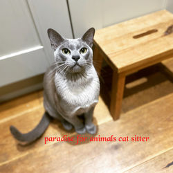 9C96C98F-9CEE-46E8-8A0F-7E3579CFE7EA