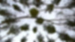 Dear Drawing II, video drawing, 4 mins (looped)